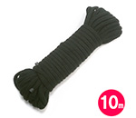 եȹ«10ʿˡ