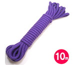 եȹ«10ʿˡ