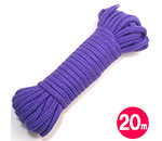 եȹ«20mʿˡ