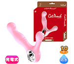 Cat Punch E ENEMA VIBE ԥ