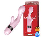 Cat Punch P RABBIT PUNI VIBE ԥ
