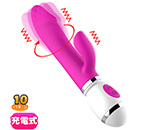 ڥ ROSEx ѥȥХ ݥľ  üư