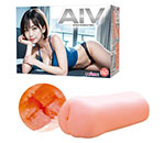 AIV NO.04