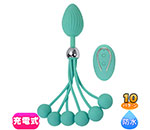 D&F ե󥭡쥯 DF-10