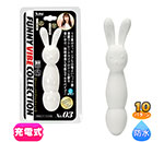 �ե��ˡ��Х��֥��쥯�����_No.03