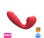 ToyCod Tara �Х��� �ۤ���� ������ �������� �椤����TWO5R��